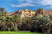 Marocco meridionale - La Kasbah di Tiout fa da sfondo alla palmeria (Taroudannt).